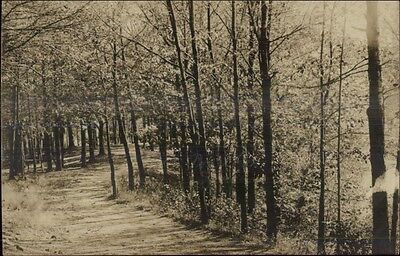 สำหรับขาย Wooded Road Scene - Saugus MA Written on Back Real Photo Postcard c1910
