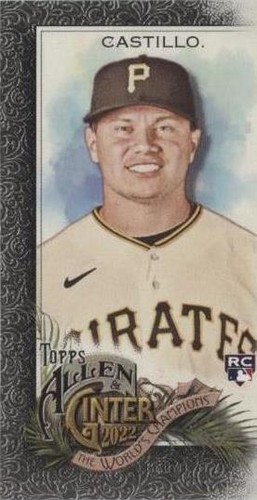 2022 Topps Allen & Ginter - Diego Castillo #277