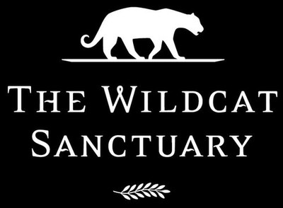The Wildcat Sanctuary