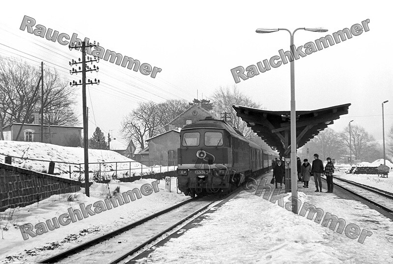 Pe-Fotoabzug 10x15 Dr 132 456-5 Demitz-Thumitz 1986 / F139045