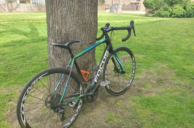 Focus Paralane carbon road bike
