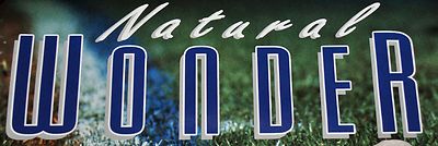 VINTAGE # 4365 POSTER RICK MIRER SEATTLE SEAHAWKS NATURAL WONDER