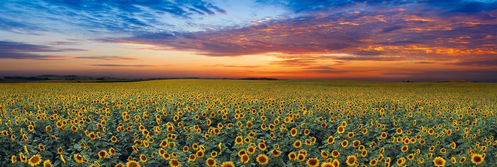 ピーターリック Peter Lik 『endless dreams』 Endless Dreams
