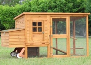 Chicken Coop In Somerset Area Qld Pet Products Gumtree