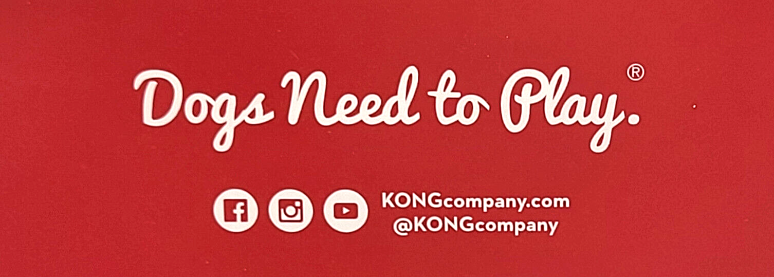 KONG Shakers Honkers Dragon LARGE Plush Squeaky Tug & Shake Dog Toy 17"