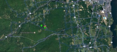 WHITETAIL DEER, NEW YORK  ,130 ACRES/LAKE FOR 10% OWNERSHIP,OWNER FINANCING