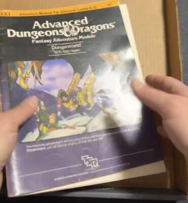 Advanced Dungeons & Dragons DUNGEONLAND EX1 TSR #9072 E.Gary Gygax 1983
