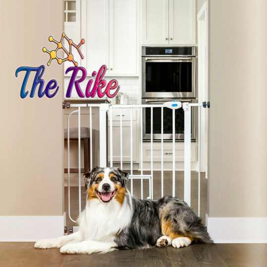 Extra Wide Extension Pet Gate Walk Thru Gate W Small Pet Door 41