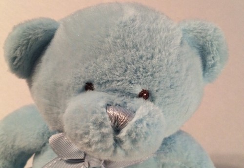 Baby Ganz Light Blue Bear Plush with Rattle 8