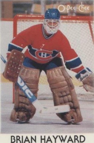 1987-88 O-Pee-Chee Leaders Mini - Brian Hayward #15