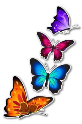 Colorful Butterflies Set of 4 Car Laptop Phone Vinyl Sticker  - SELECT SIZE