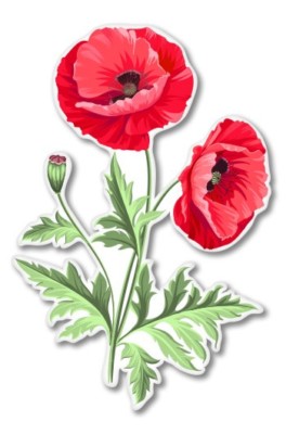Poppies Car Laptop Phone Vinyl Sticker  - SELECT SIZE