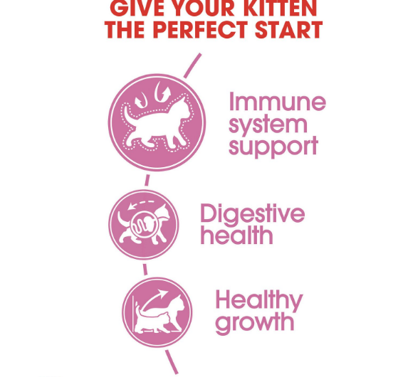 ROYAL CANIN FELINE HEALTH NUTRITION Kitten dry cat food - FREE SHIPPING