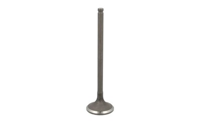 Exhaust valve FRECCIA R6406/RNT