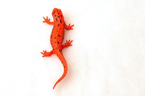 MATCHBOX N° 55 D.U.K.W Amphibian 1958 | eBay