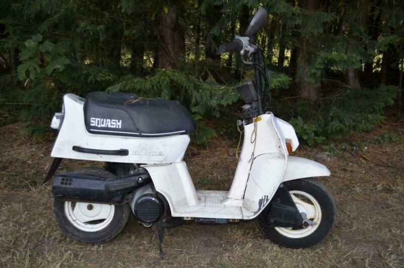 Honda squash характеристики