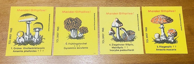 4 ZÃ¼Ndholzetiketten, Streichholzetiketten Coswig 1965, Meidet Giftpilze