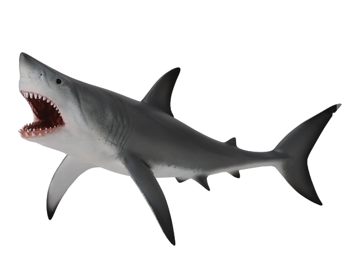 CollectA Sealife Series Great White Shark Toy Figurine #88729