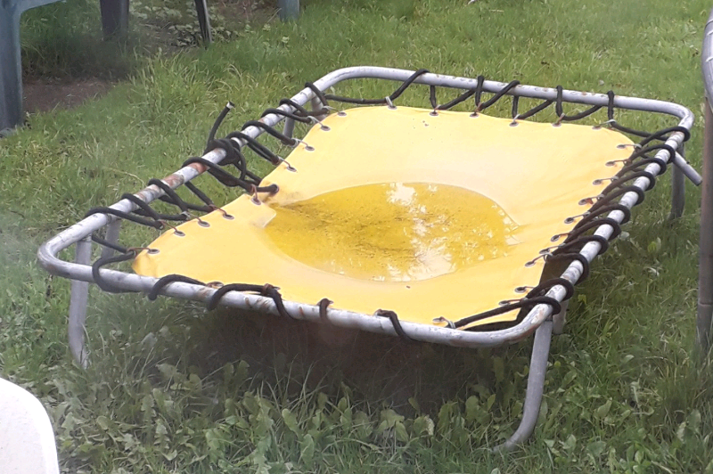 Old style trampoline in Norwich, Norfolk Gumtree