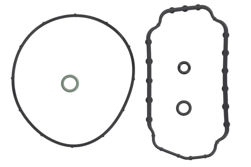 Bosch Repair Kit 1467010425 / 1 467 010 425 7701034677 068198051A set type VE-F