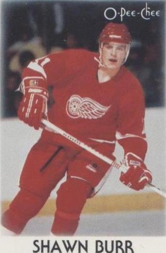 1987-88 O-Pee-Chee Leaders Mini - Shawn Burr #5