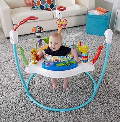 Fisher-Price Animal Activity Jumperoo, Blue