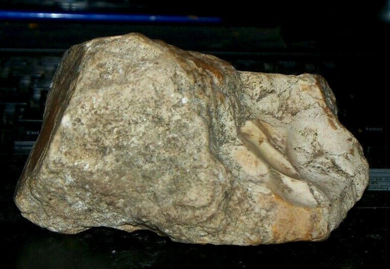 Authentic multi use hand tool with documentation Paleolithic Prehistory