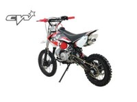cw 110 pit bike