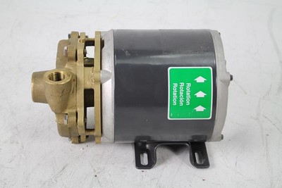 AMT 3670-97 Marine Pump Bronze 1/4 HP 1 Phase 115V 3/4 NPT Female 1/2 Discharge