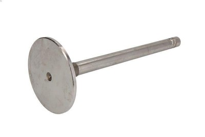 Intake Valve FRECCIA R3934/S