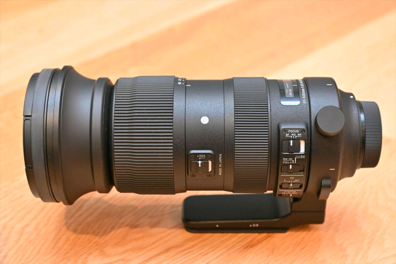 sigma 100 600 nikon