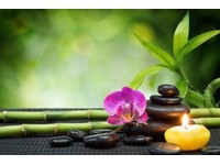 Sabai Di Thai and Swedish Massage Service Bedford Bedfordshire Sabai Di Thai and Swedish Massage Service Bedford Bedfordshire