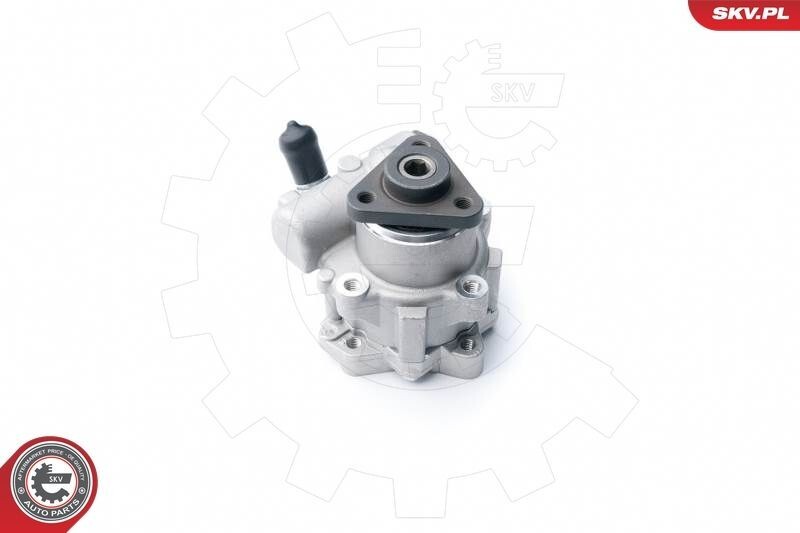 Esen Skv 10skv122 Servolenkung Pumpe Servopumpe FÃ¼R Bmw X5 (E53) Hydraulisch