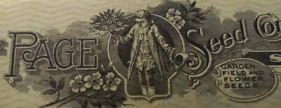 Three Vintage The Page Seed Company, Greene NY   Business Check Vignette Art   