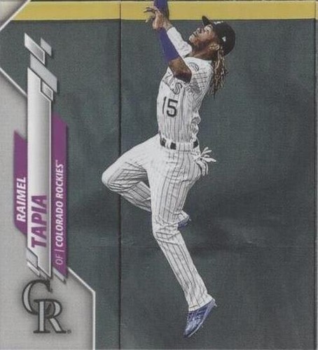 2020 Topps - Raimel Tapia #404