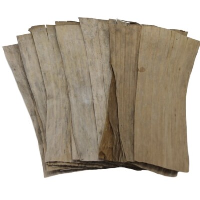 Catappa Mulberry Banana Teak Leaves for Aquarium Shrimp Fish Tank Betta