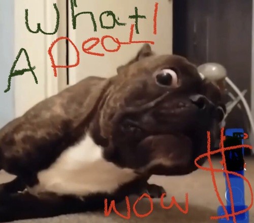 Item photo(s) from verified buyer