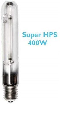 Bulb Bloom High Output 1000 Watt