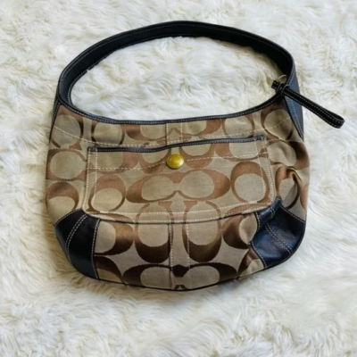 Coach hobo bag ebay new arrivals