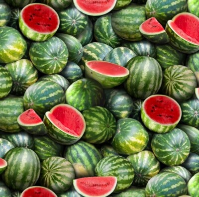 Food Festival Fabric - Packed Green Watermelon - Elizabeth's Studio YARD