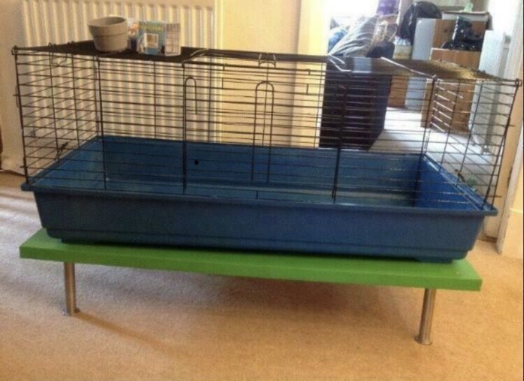 120cm Guinea pig cage with bowl and table in Christchurch, Dorset