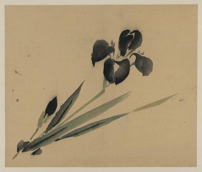 Photo:Iris?,Photo of Ukiyo-e,Japan,1800-1870,Flower