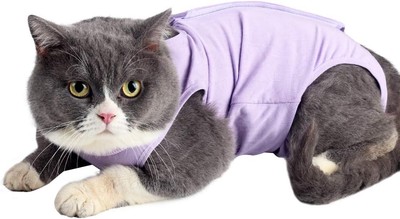 LIANZIMAU Cat Recovery Suit With Avoid Licking For Surgical Abdominal Wounds So