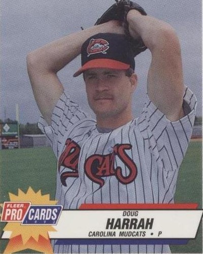 1993 Fleer ProCards Minor League - Doug Harrah #2048