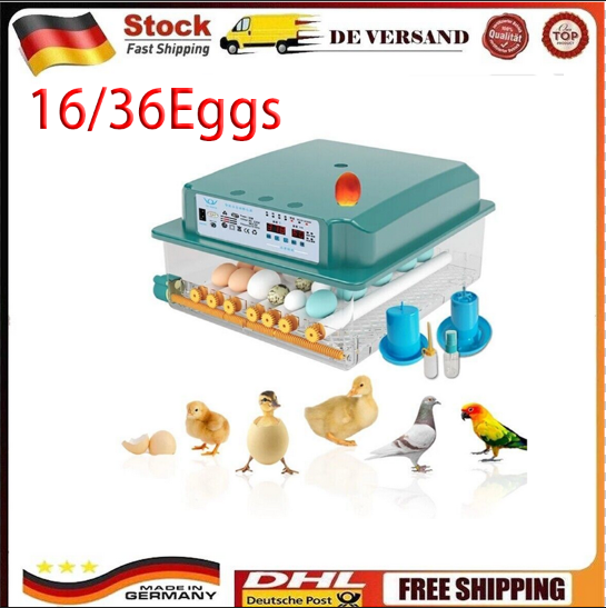 Eier Vollautomatische Brutmaschine Brutapparat Flächenbrüter Inkubator Brüter DE