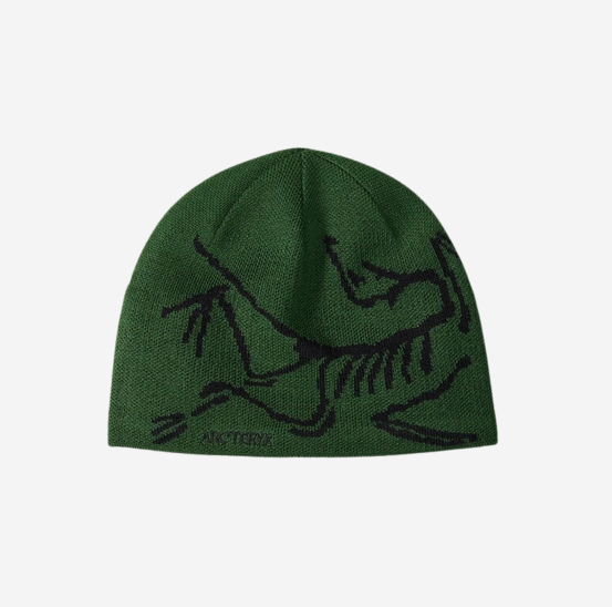 ARC’TERYX Bird Head Toque Eden / Black Arc'teryx Bird Head Toque Beanie Eden/Black Men's - FW24 - US