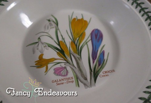 Portmeirion Botanic Garden Snow Drop Galanthus Crocus Rim Soup Bowl