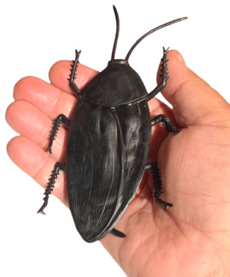 JUMBO COCKROACH 6'' Giant Rubber Fake Bug Prank Joke Gag Funny Roach Halloween