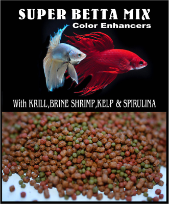 Garlic for betta fish cheap