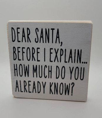 Dear Santa, Before I Explain Sign